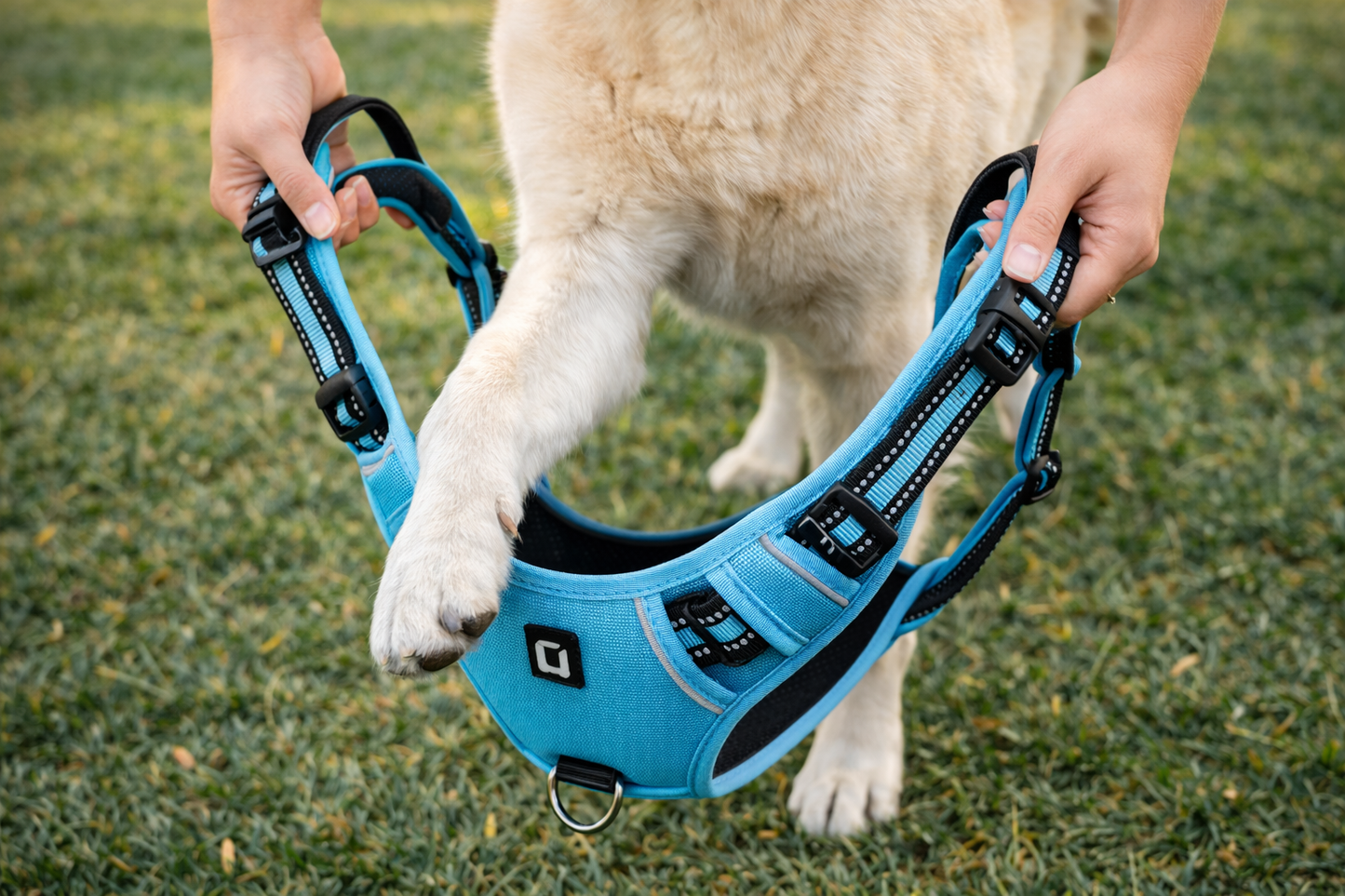 Comfort Dog Harness