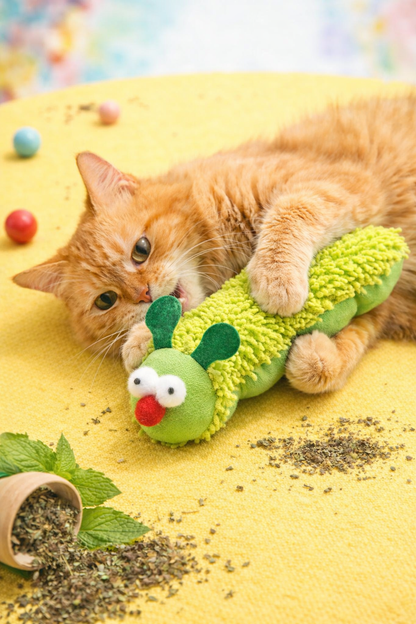 Caterpillar Chew Toy