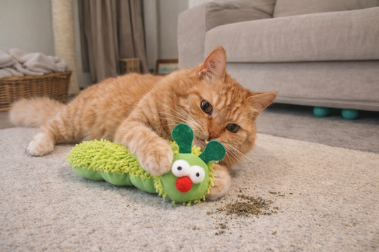 Caterpillar Chew Toy