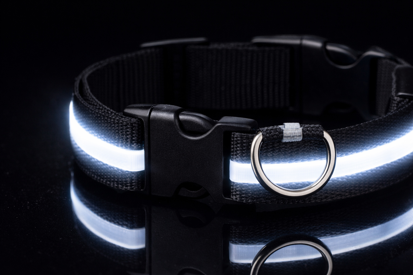 LED Glow Dog Leash
