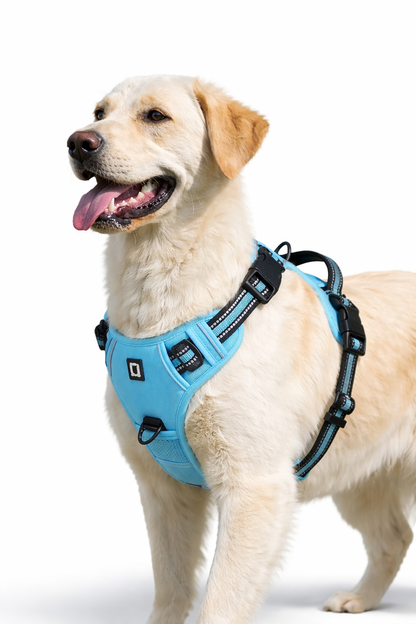 Comfort Dog Harness