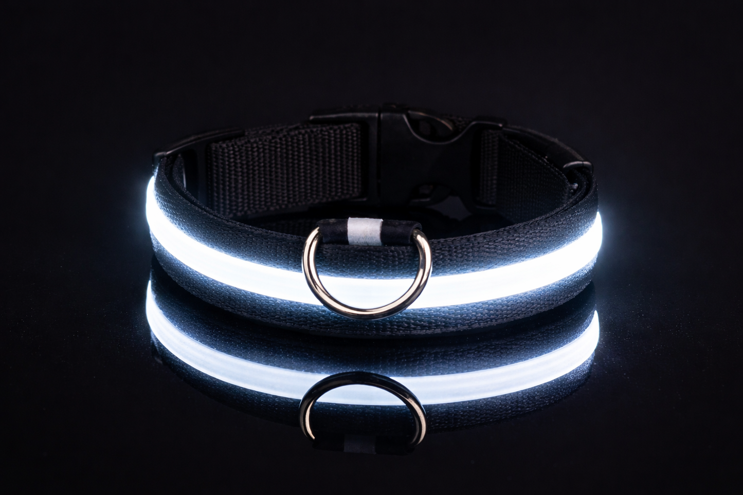 LED Glow Dog Leash