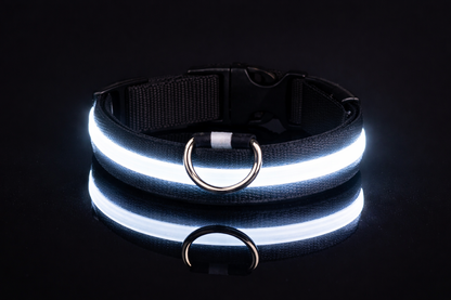 LED Glow Dog Leash