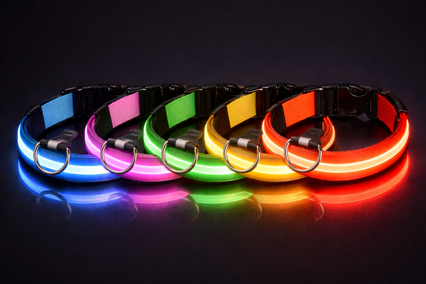 LED Glow Dog Leash